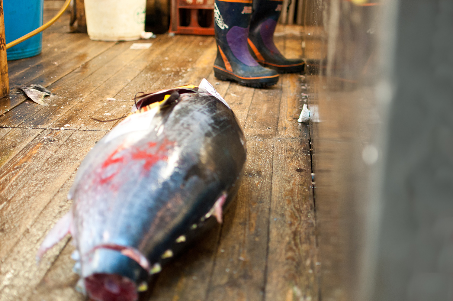 tsukiji